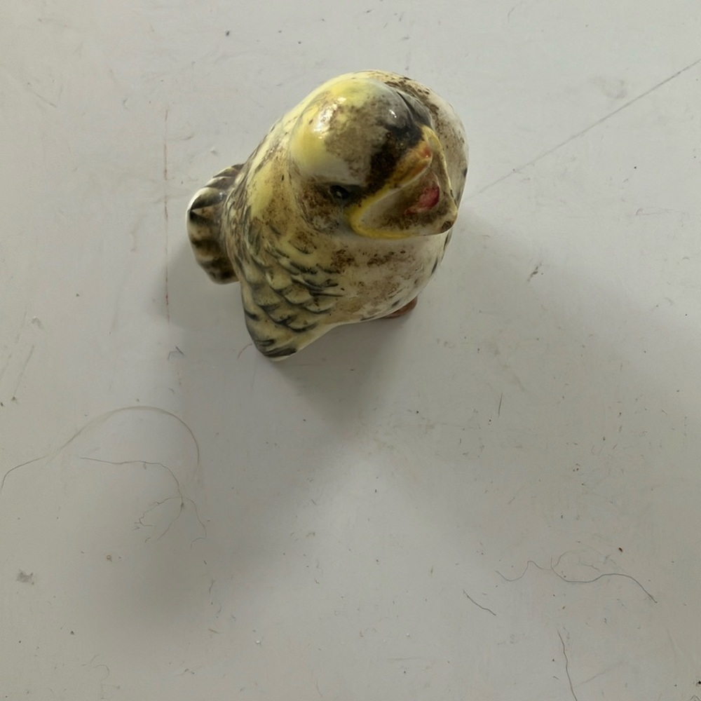 Small vintage bird